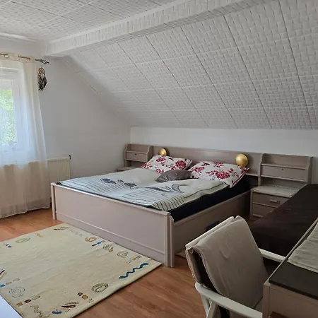 Gyoergyi Apartment - Biro Tours Nr 43 *
