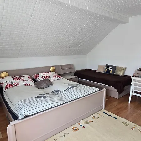 Gyoergyi Apartment - Biro Tours Nr 43 شقة فونيارتْسفاشغ
