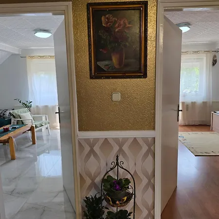 Gyoergyi Apartment - Biro Tours Nr 43 فونيارتْسفاشغ